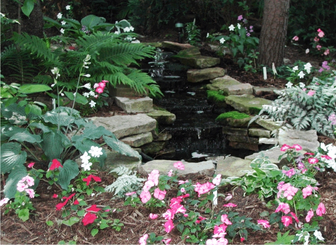 crescent in spring