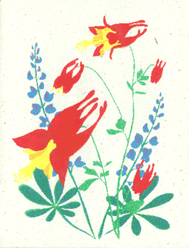 columbine_and_lupine