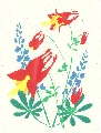 columbine and lupine