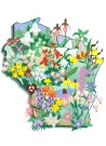 WI wildflowers